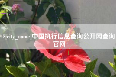 霍邱中国执行信息查询公开网查询官网