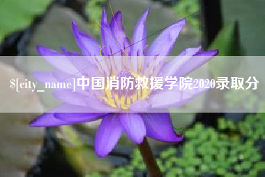 霍邱中国消防救援学院2020录取分