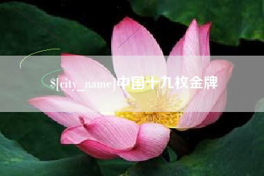 霍邱中国十九枚金牌