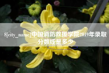 霍邱中国消防救援学院2019年录取分数线是多少