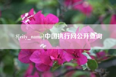 霍邱中国执行网公开查询