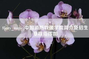 霍邱中国消防救援学院简介及招生章程指挥部