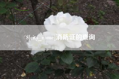 霍邱消防证的查询