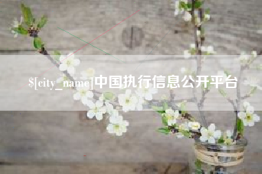 霍邱中国执行信息公开平台