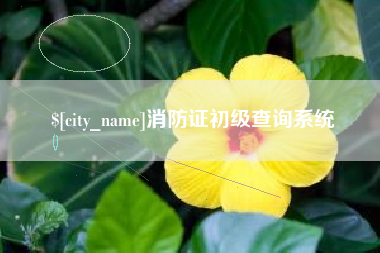 霍邱消防证初级查询系统