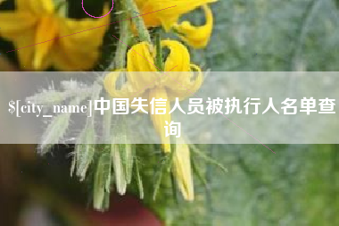 霍邱中国失信人员被执行人名单查询