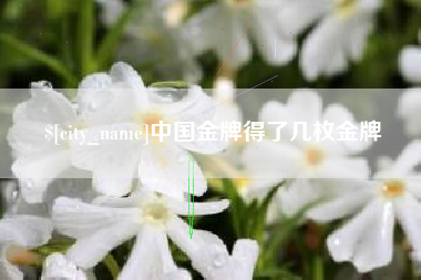 霍邱中国金牌得了几枚金牌