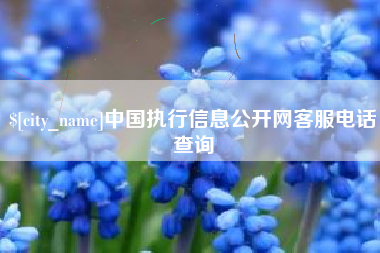 霍邱中国执行信息公开网客服电话查询