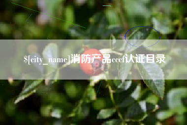 霍邱消防产品cccf认证目录