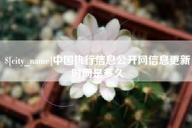 霍邱中国执行信息公开网信息更新时间是多久