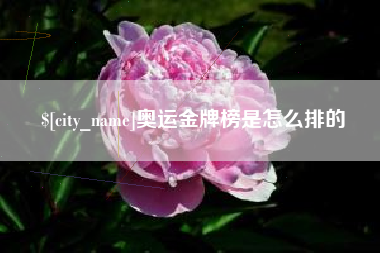 霍邱奥运金牌榜是怎么排的