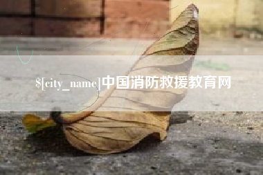 霍邱中国消防救援教育网