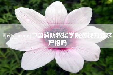 霍邱中国消防救援学院对视力要求严格吗