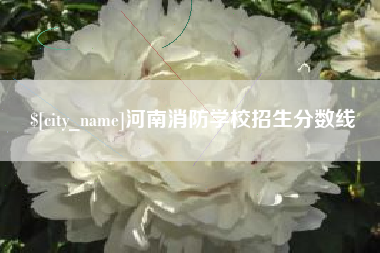 霍邱河南消防学校招生分数线