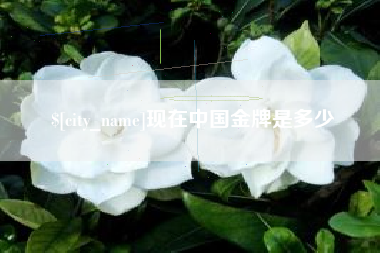 霍邱现在中国金牌是多少