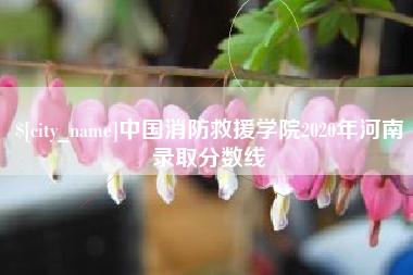 霍邱中国消防救援学院2020年河南录取分数线