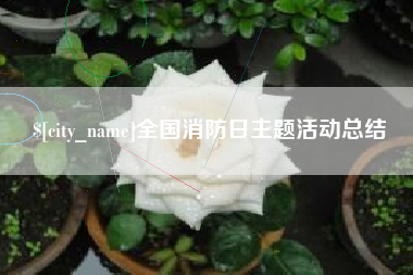 霍邱全国消防日主题活动总结