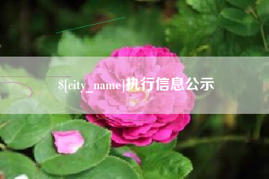 霍邱执行信息公示