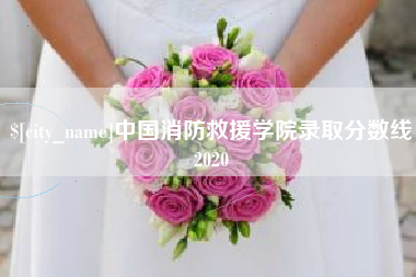 霍邱中国消防救援学院录取分数线2020