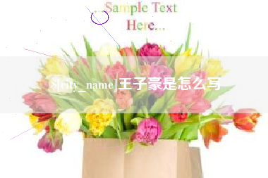霍邱王子豪是怎么写