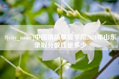 霍邱中国消防救援学院2021年山东录取分数线是多少