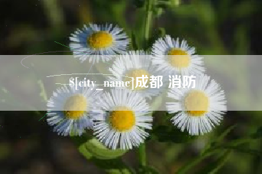霍邱成都 消防