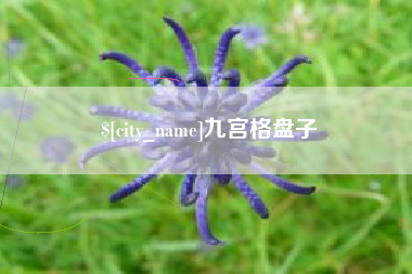 霍邱九宫格盘子