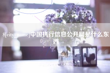 霍邱中国执行信息公开网是什么东西