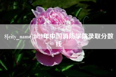 霍邱2021年中国消防学院录取分数线