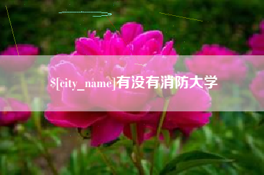 霍邱有没有消防大学