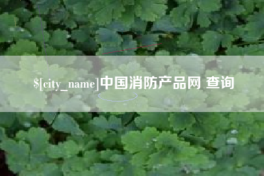 霍邱中国消防产品网 查询