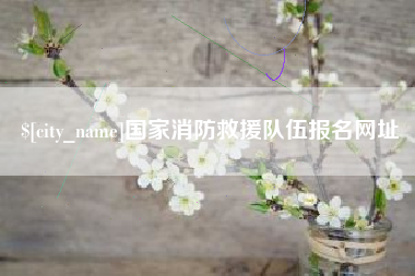 霍邱国家消防救援队伍报名网址