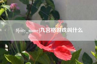 霍邱九宫格游戏叫什么