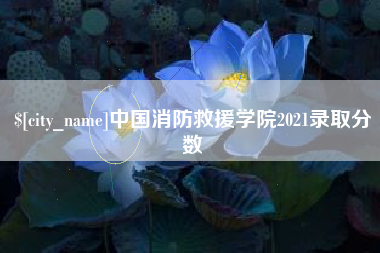 霍邱中国消防救援学院2021录取分数