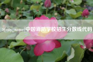 霍邱中国消防学校招生分数线代码