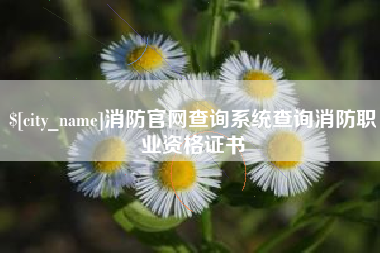 霍邱消防官网查询系统查询消防职业资格证书
