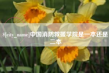霍邱中国消防救援学院是一本还是二本