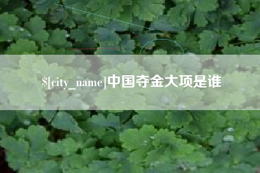 霍邱中国夺金大项是谁