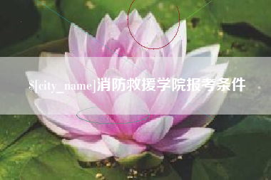 霍邱消防救援学院报考条件