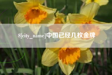 霍邱中国已经几枚金牌
