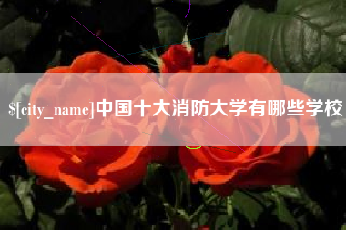 霍邱中国十大消防大学有哪些学校