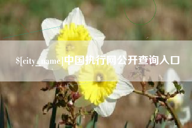 霍邱中国执行网公开查询入口