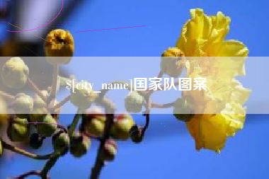 霍邱国家队图案
