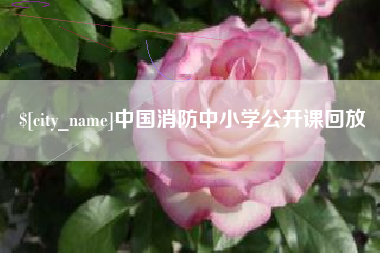 霍邱中国消防中小学公开课回放