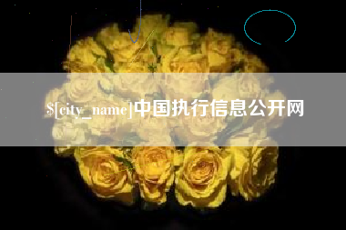 霍邱中国执行信息公开网