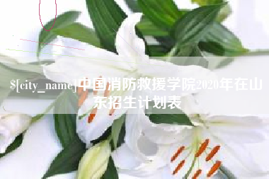 霍邱中国消防救援学院2020年在山东招生计划表