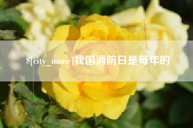 霍邱我国消防日是每年的