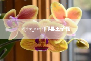 霍邱邱县王子磊