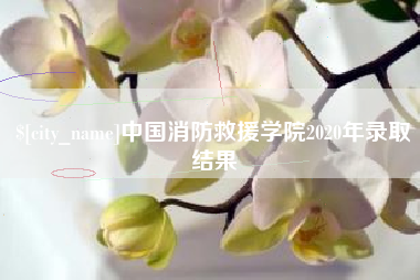 霍邱中国消防救援学院2020年录取结果