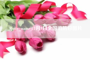 霍邱11月9日全国消防日图片